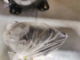 Компрессор FR7.5CL R404 333Вт код 103U2790 LBP Secop