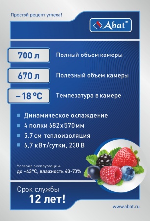 Шкаф холодильный низкотемпературный ШХн-0,7-01 нерж. 